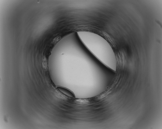 X0000097920477200803141035