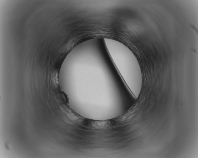 X0000097920479200803141035
