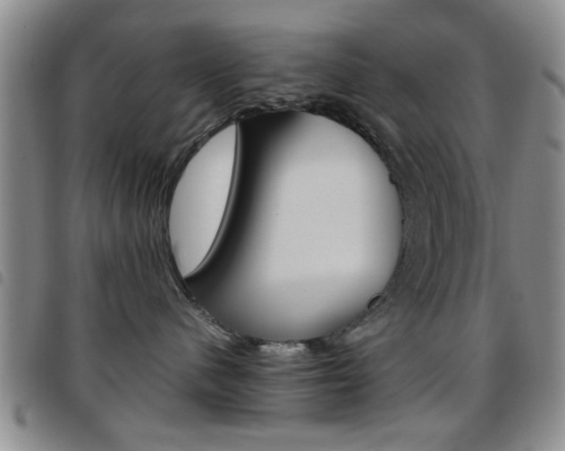 X0000097920480200803141035