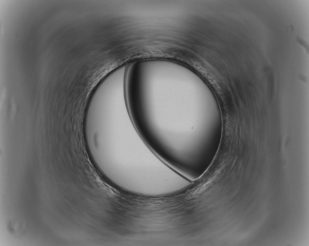 X0000097920481200803141034