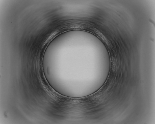 X0000097920482200803141034