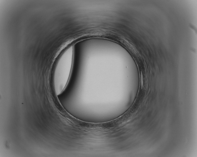 X0000097920483200803141034