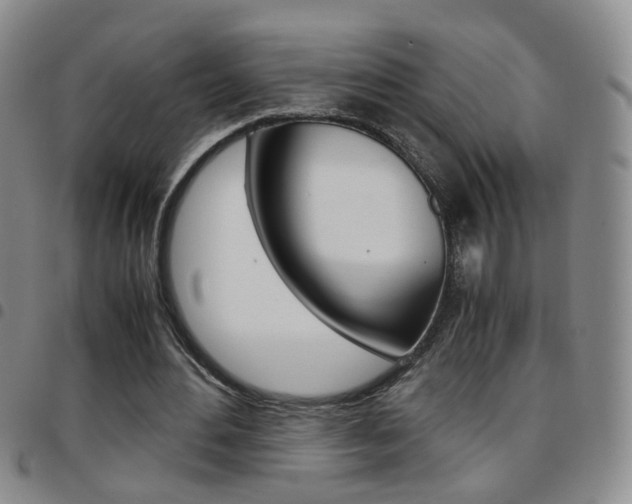 X0000097920484200803141034