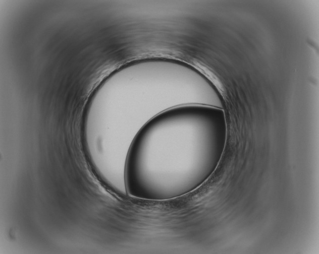 X0000097920485200803141034