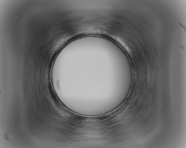 X0000097920487200803141034