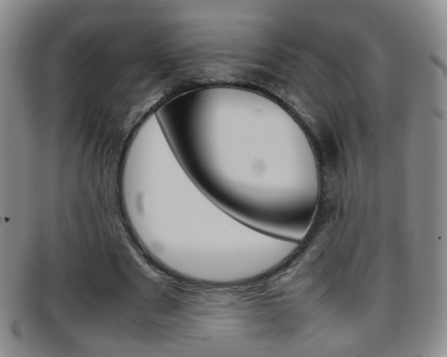 X0000097920489200803141034