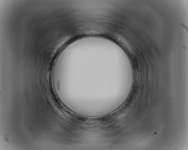 X0000097920491200803141034