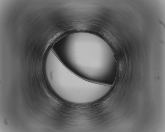 X0000097920492200803141034