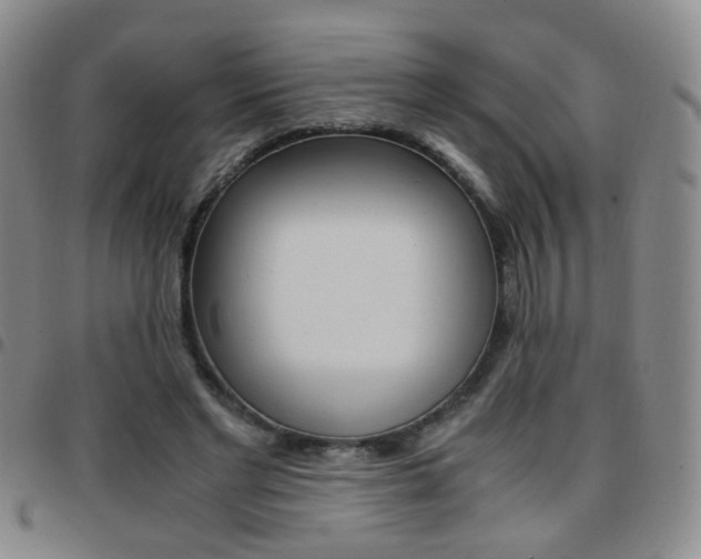 X0000097920493200803141034