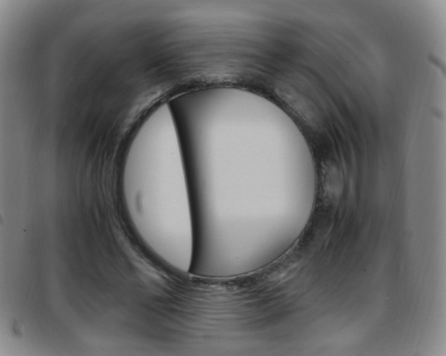 X0000097920494200803141034