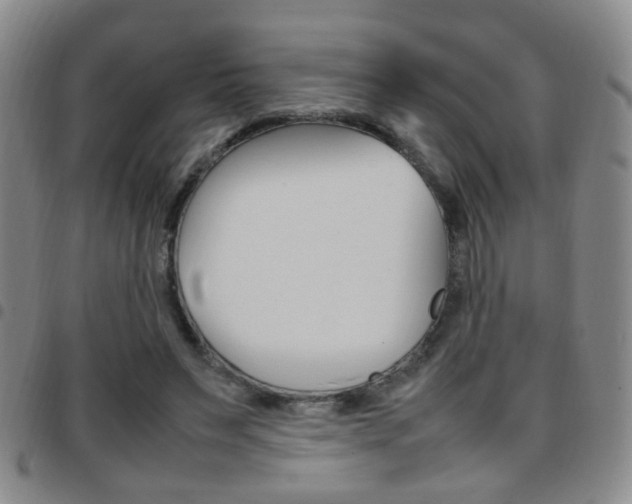 X0000097920495200803141034
