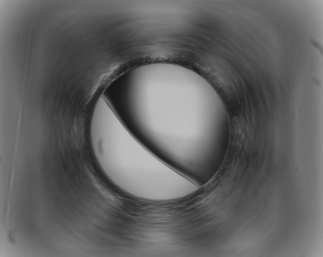 X0000097920496200803141034