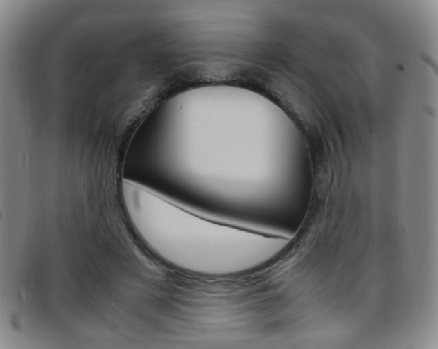 X0000097920497200803141034