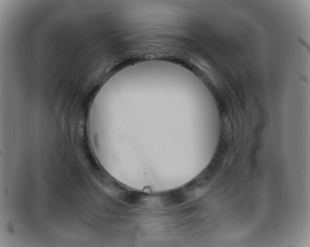 X0000097920499200803141034