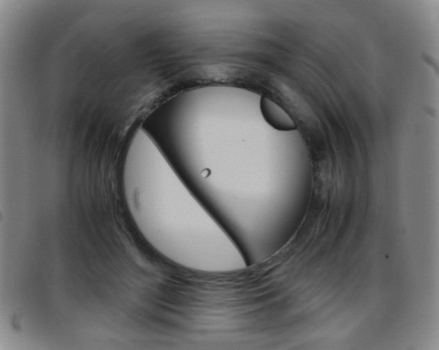 X0000097920500200803141034