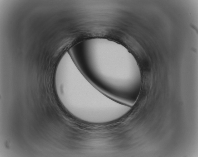X0000097920501200803141034