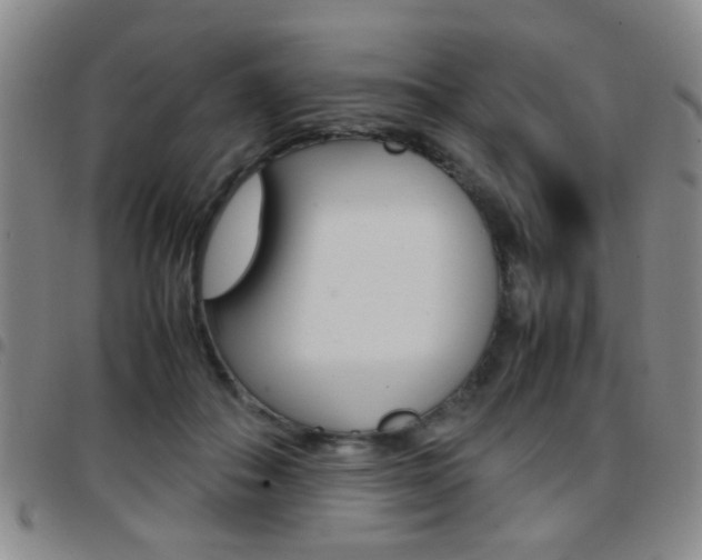 X0000097920506200803141034