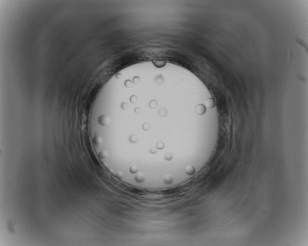 X0000097920507200803141034