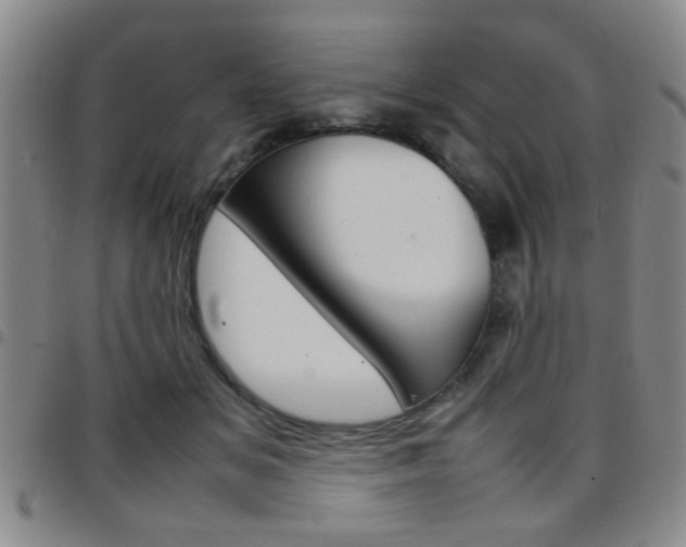 X0000097920509200803141034