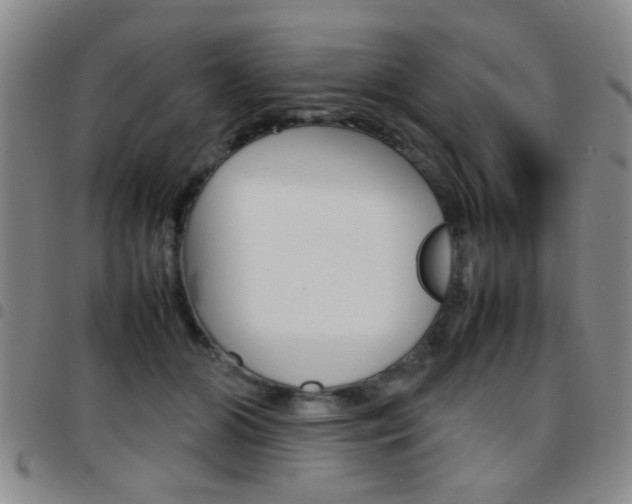 X0000097920510200803141034