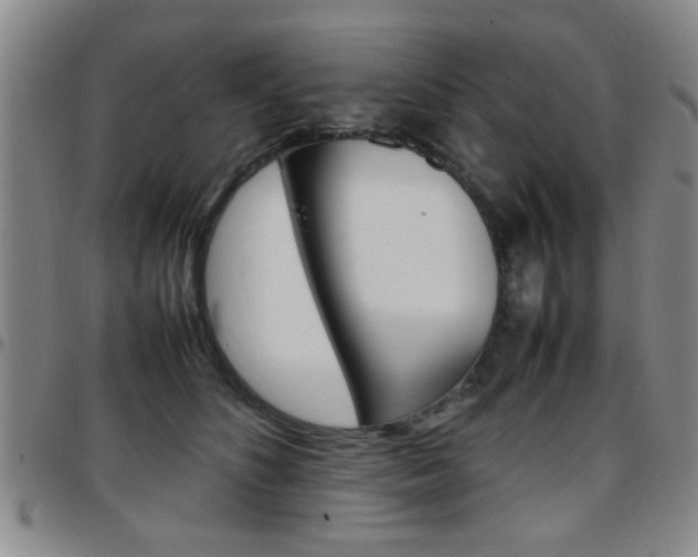 X0000097920516200803141034