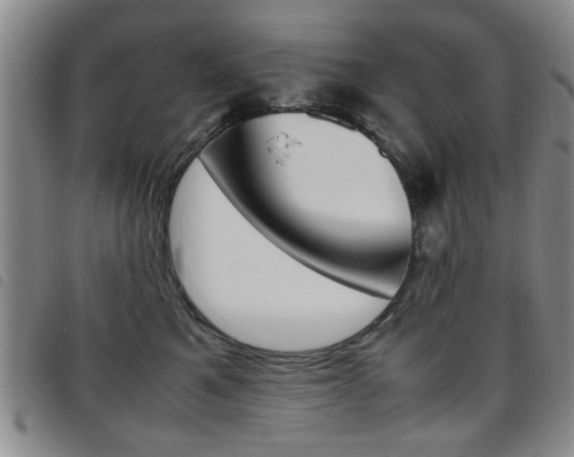 X0000097920521200803141033