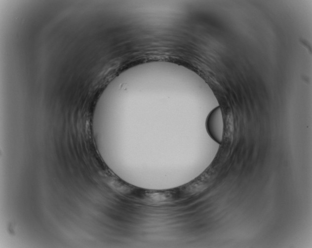 X0000097920522200803141033