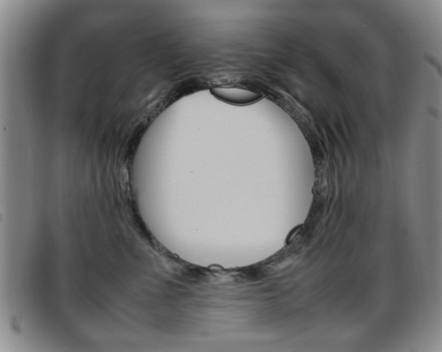 X0000097920523200803141033