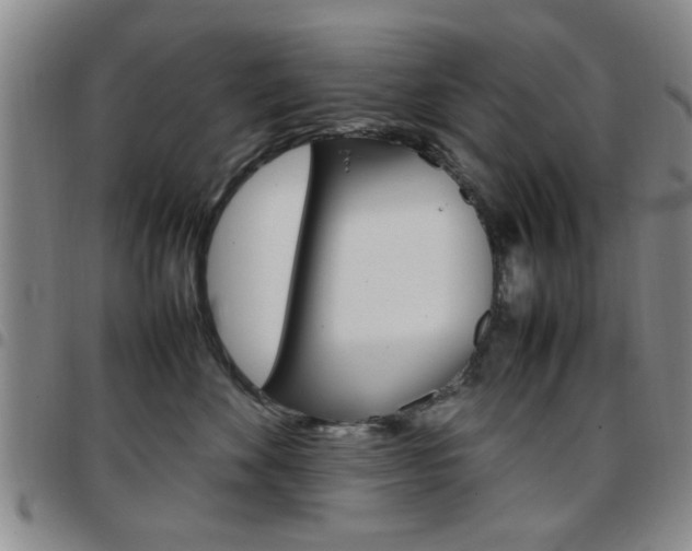 X0000097920524200803141033