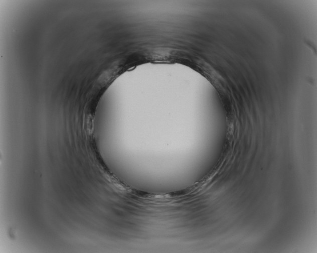 X0000097920525200803141033