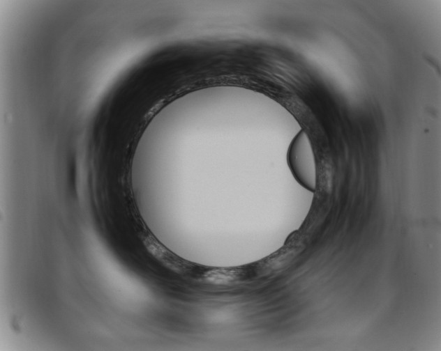 X0000097920526200803141033
