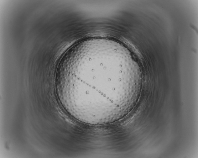 X0000097920529200803141033