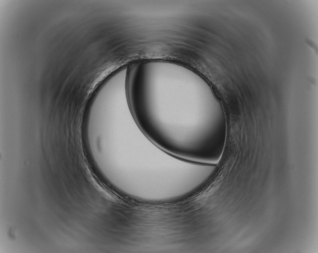X0000097920530200803141033