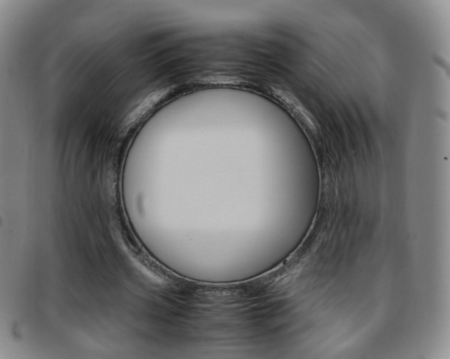 X0000097920533200803141033