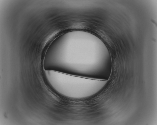 X0000097920535200803141033