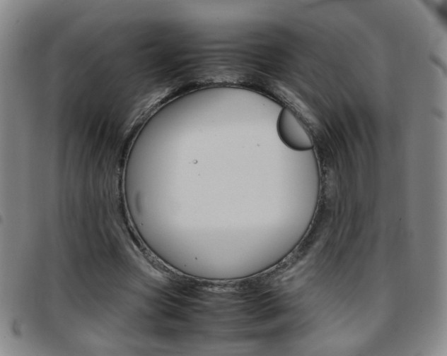 X0000097920537200803141033