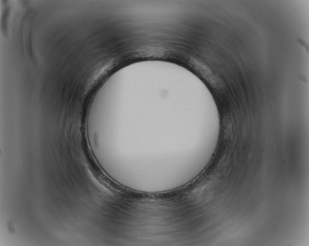 X0000097920538200803141033
