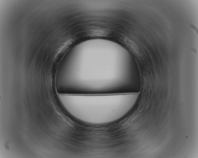 X0000097920539200803141033