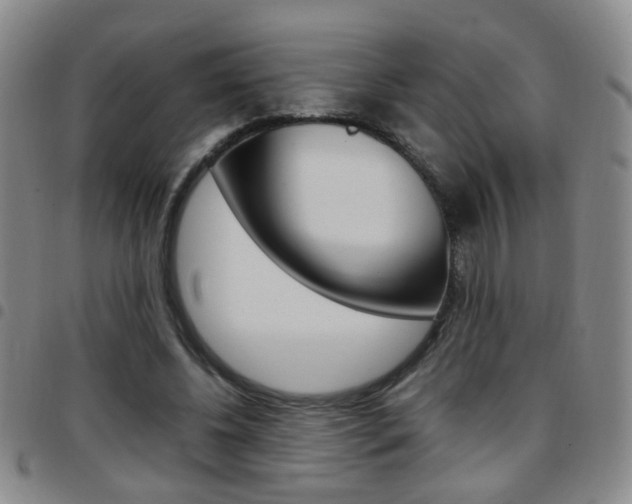 X0000097920540200803141033