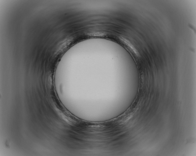 X0000097920541200803141033