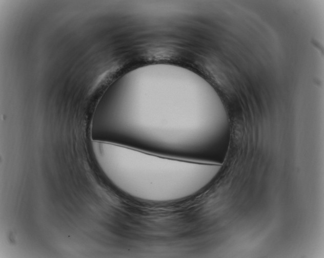 X0000097920543200803141033