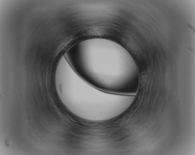 X0000097920544200803141033