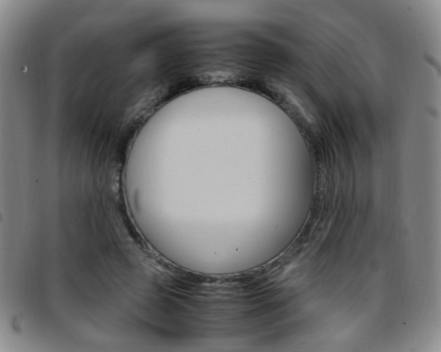 X0000097920545200803141033