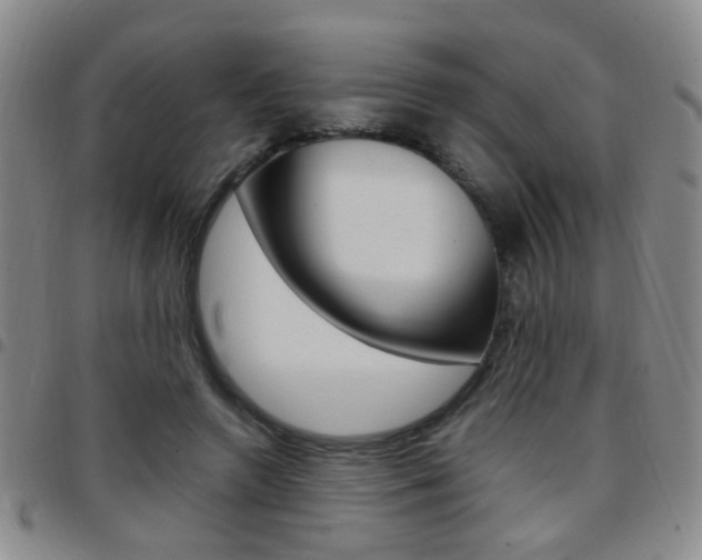 X0000097920546200803141033