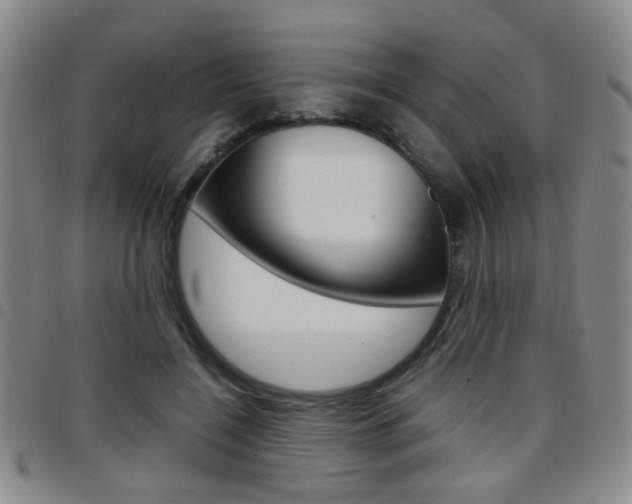 X0000097920548200803141033