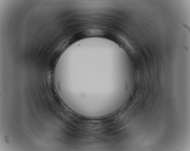X0000097920549200803141033