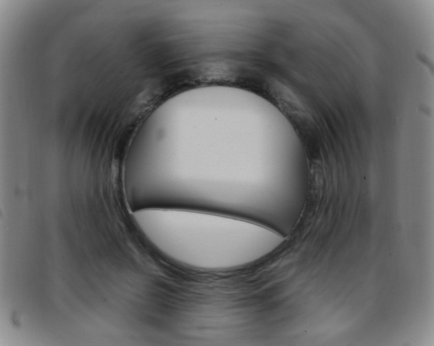 X0000097920550200803141033