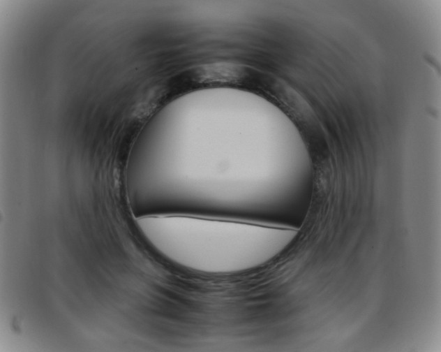 X0000097920551200803141033