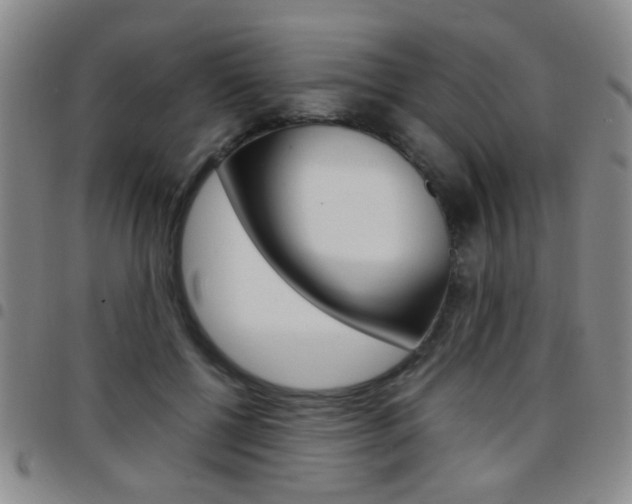 X0000097920552200803141033