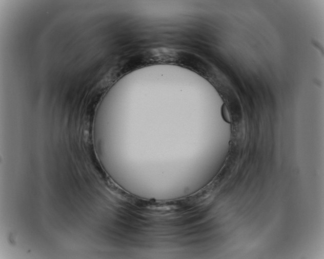 X0000097920553200803141033